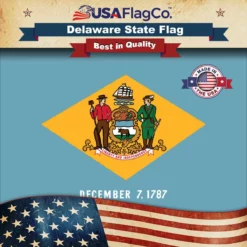 Delaware Flag