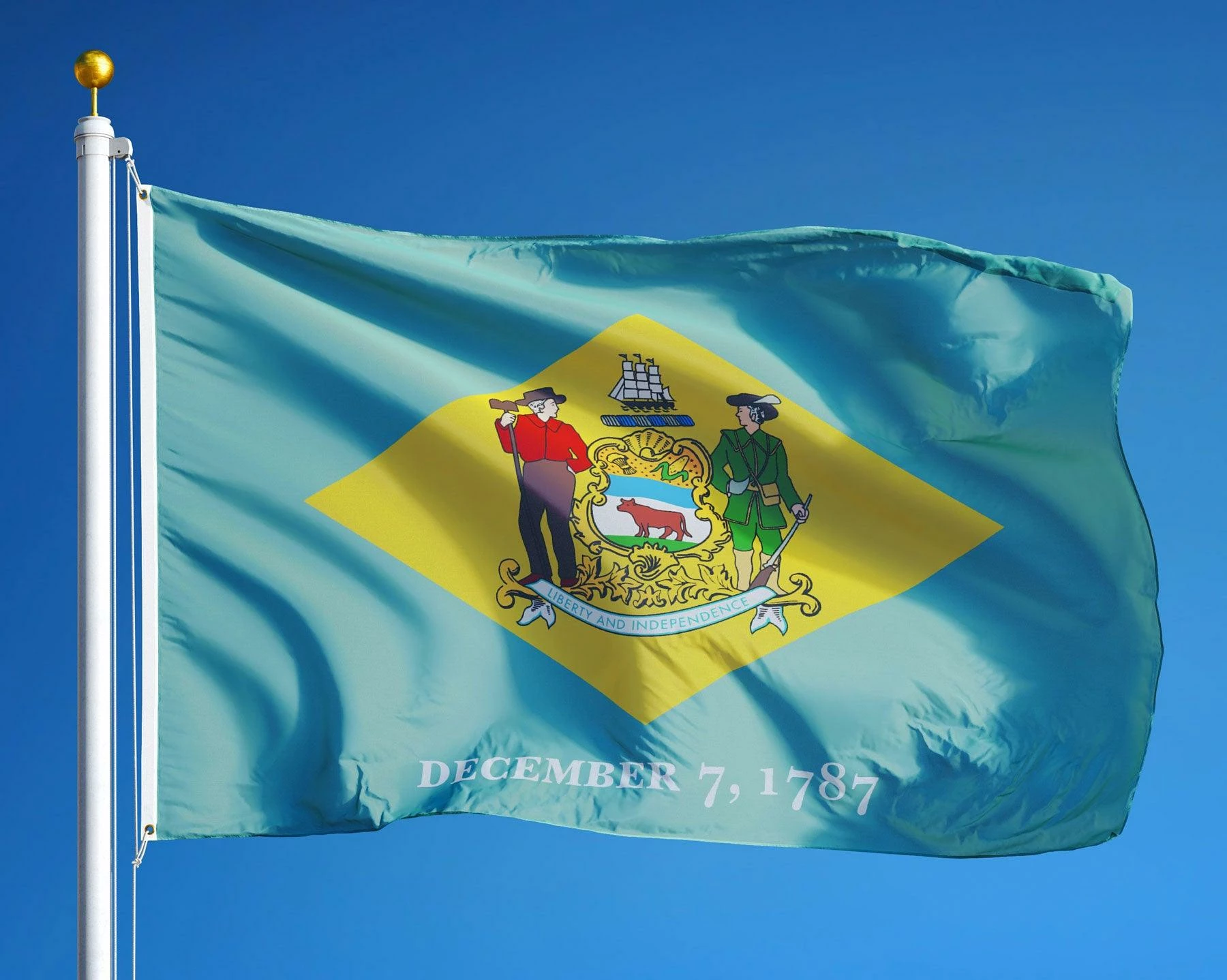 Delaware Flag 3 Delaware Flag - Image 3