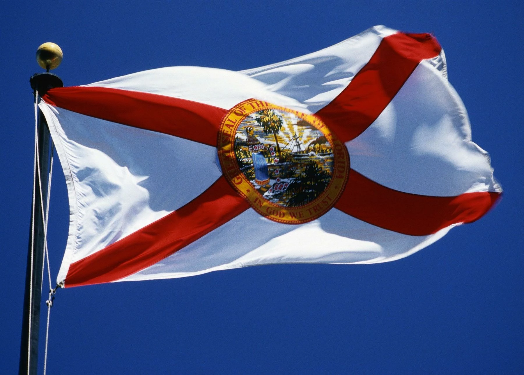 Florida Flag 3 Florida Flag - Image 3