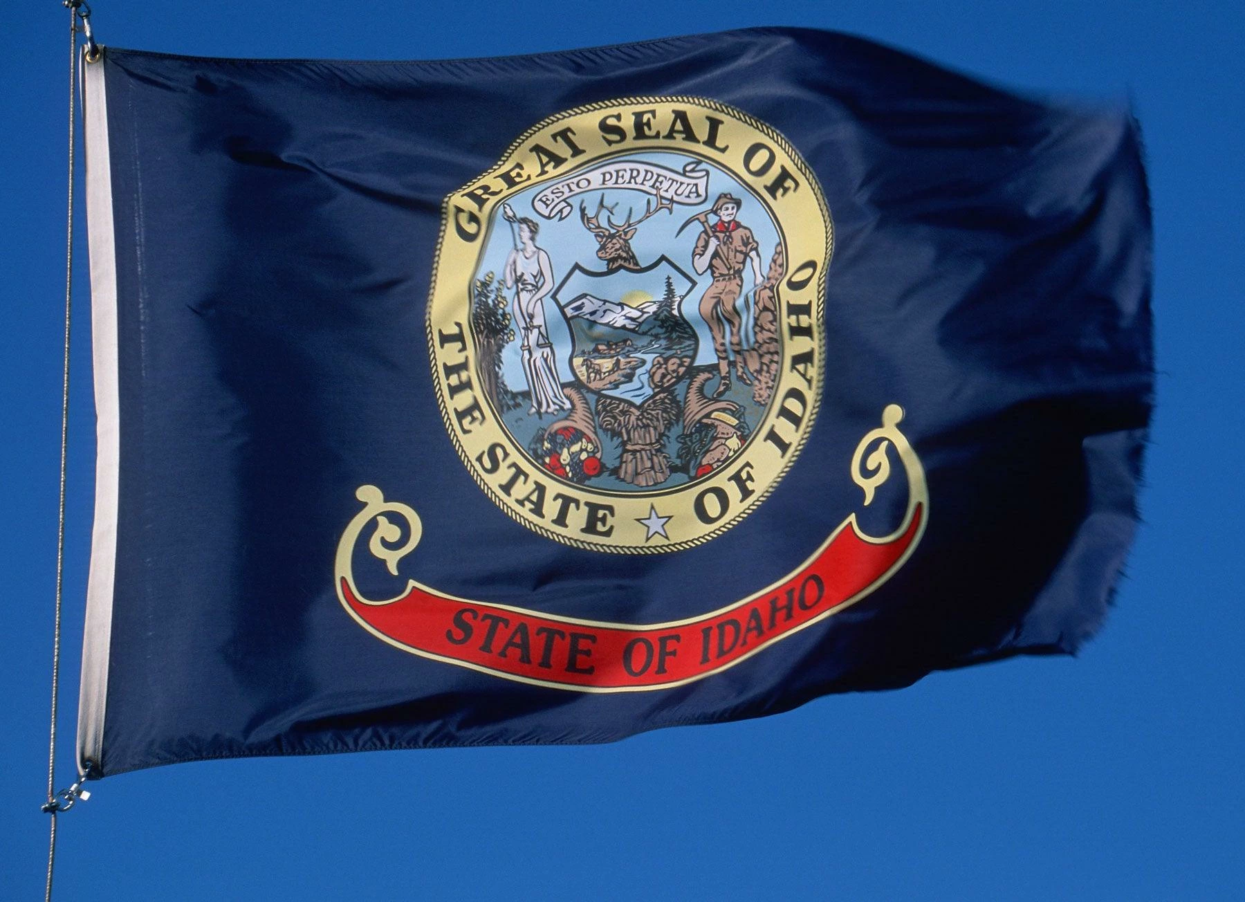 Idaho Flag 3 Idaho Flag - Image 3