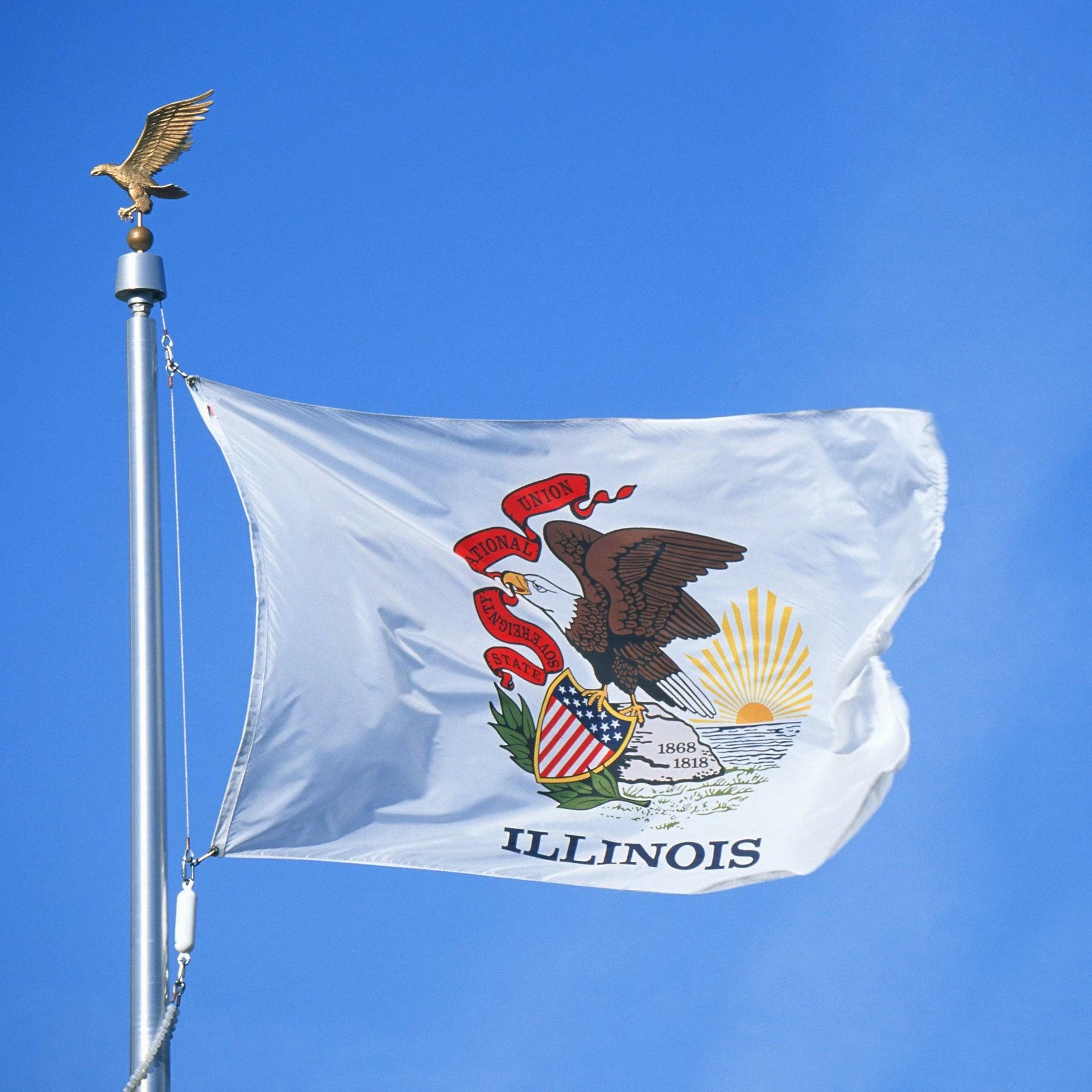 Illinois Flag 3 Illinois Flag - Image 3