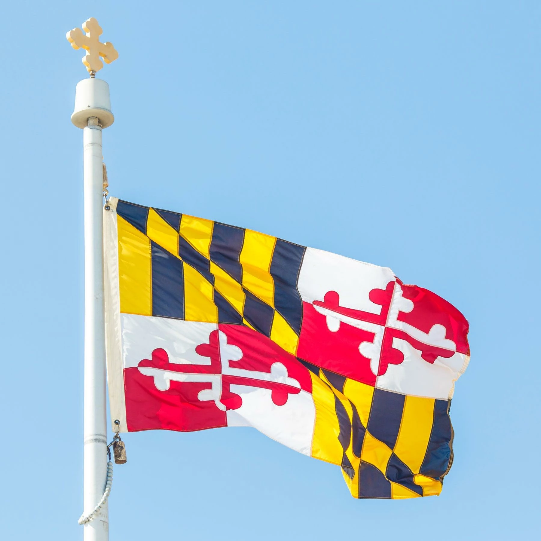 Maryland Flag 3 Maryland Flag - Image 3