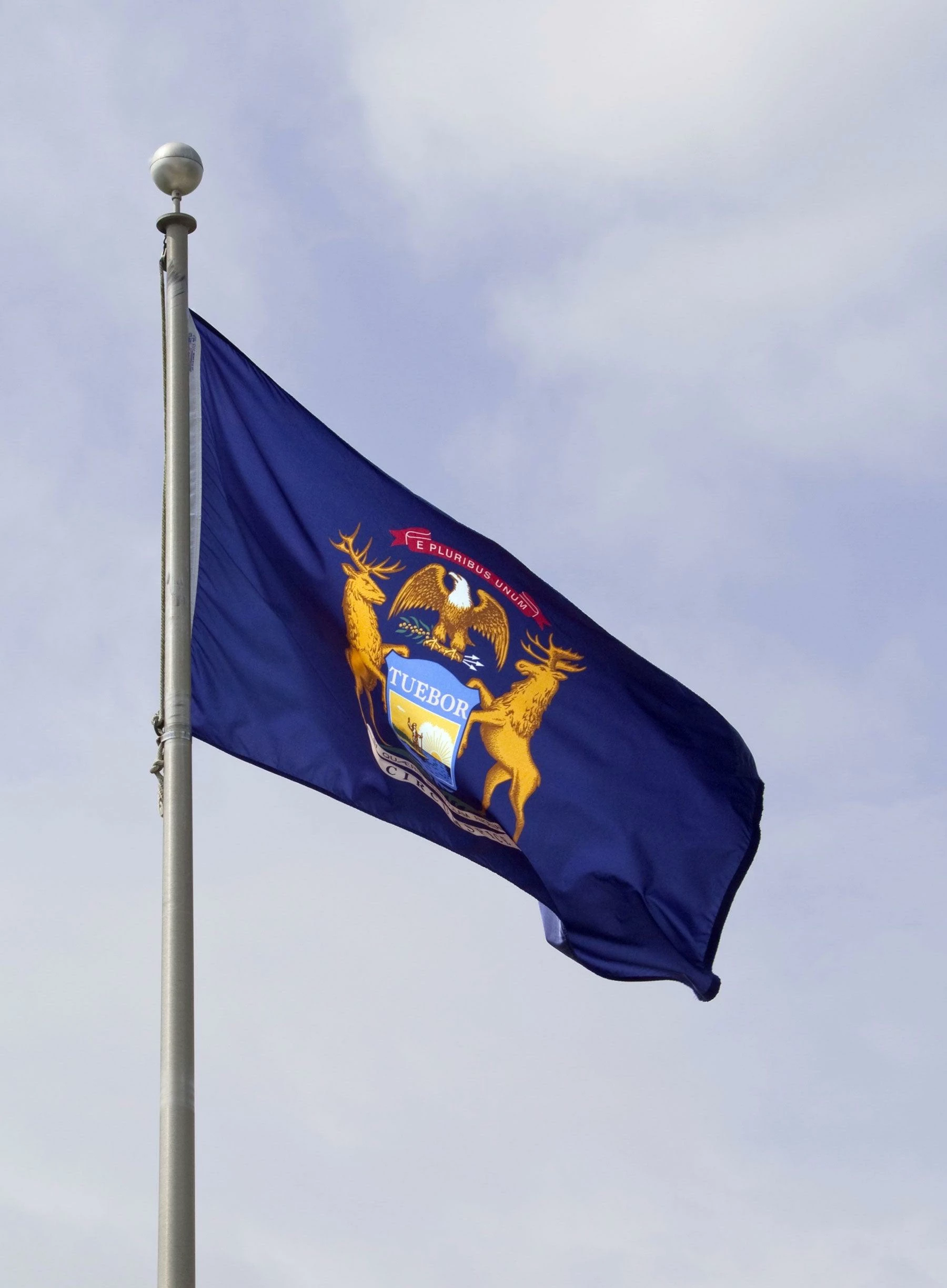 Michigan Flag 3 Michigan Flag - Image 3