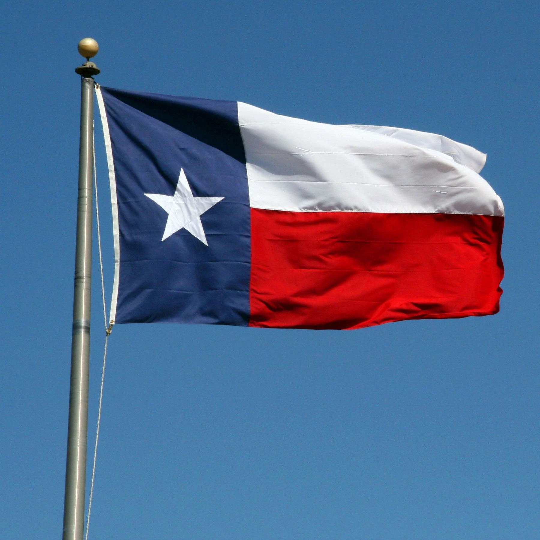 Texas Flag (Fully Sewn Design) 3 Texas Flag (Fully Sewn Design) - Image 3